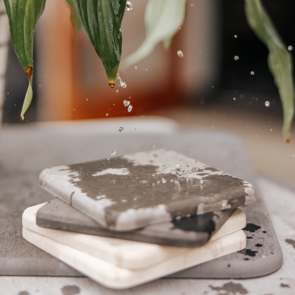 Diatomite Coaster Set (4) - 10 x 10 cm